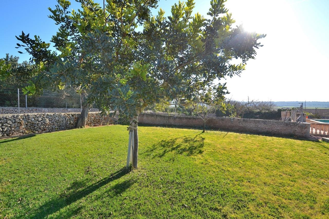 078 Finca Sa Rota Vt1953 By Mallorca Charme Ariany Exterior foto